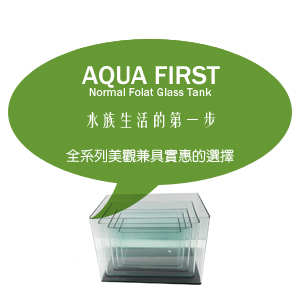 AQUAFIRST