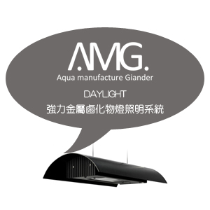 AMG金屬鹵素照明系列