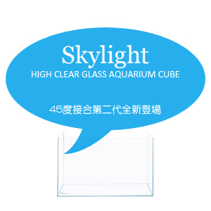 SKYLIGHT